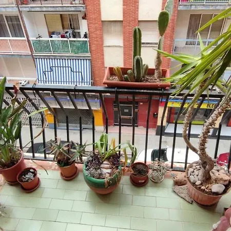 Dormitorios Piso Homestay *